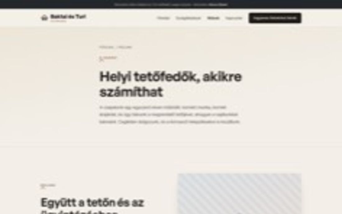 A Baktai–Turi tetőfedő oldalának nyitóképe: visszafogott kékesszürke, tárgyilagos elrendezés.